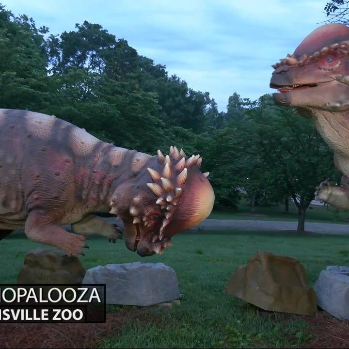 Keith Kaiser visits the Louisville Zoo for Dinopalooza